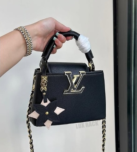 LV CAPUCINES BAG