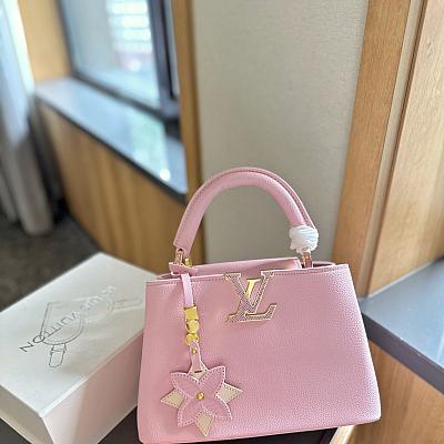 LV CAPUCINES BAG