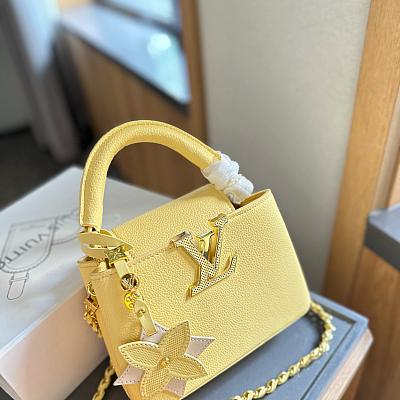 LV CAPUCINES BAG